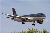 Jos Miguel Bernases - Noisy Spotters. Click to see full size photo