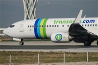 Rubn Gil - Noisy Spotters. Click to see full size photo