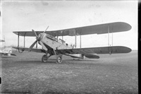 Click here to see full size photo