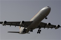 Ayoze Santana Mendez - Canary Islands Spotting. Click to see full size photo