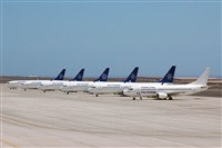 Miguel A. gueda Rguez.  (CANARY ISLANDS SPOTTING). Click to see full size photo