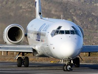 Javier de la Cruz - CANARY ISLANDS SPOTTING. Click to see full size photo