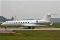 Rodrigo Carvalho - Noisy Spotters. Click to see full size photo