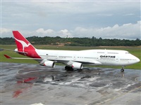 Fabio Duarte - Manaus Spotting Team. Click to see full size photo
