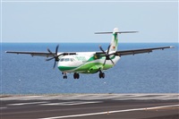 Miguel A. gueda Rguez.  (CANARY ISLANDS SPOTTING). Click to see full size photo