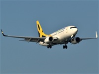 Manuel Noisy Spotters. Click to see full size photo