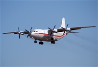 Alejandro H.L - Gran Canaria Spotters. Click to see full size photo