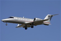 Jos Miguel Bernases - Noisy Spotters. Click to see full size photo
