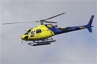 Alfonso Sols - Asociacin Canary Islands Spotting. Click to see full size photo