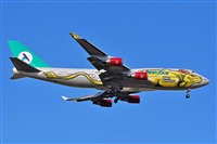 Miguel A. gueda Rguez.  (CANARY ISLANDS SPOTTING). Click to see full size photo