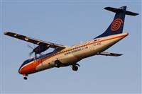 ©Alfonso Solís - Asociación Canary Islands Spotting. Click to see full size photo ©Alfonso Solís - Asociación Canary Islands Spotting. Click to see full size photo