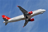Miguel A. gueda Rguez.  (CANARY ISLANDS SPOTTING). Click to see full size photo