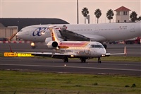 Javier de la Cruz - CANARY ISLANDS SPOTTING. Click to see full size photo