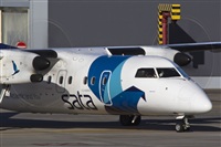 Rui Alves - Madeira Spotters. Click to see full size photo