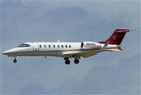 Jos Miguel Bernases - Noisy Spotters. Click to see full size photo