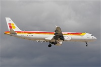 Miguel A. gueda Rguez.  (CANARY ISLANDS SPOTTING). Click to see full size photo