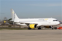 H.volar. Click to see full size photo