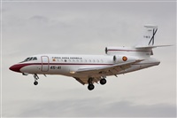 Carlos Zamora - La Mancha Spotters. Haz click para ampliar