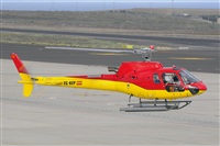 Miguel A. gueda Rguez.  (CANARY ISLANDS SPOTTING). Click to see full size photo