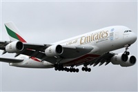 Rubn Gil - Noisy Spotters. Click to see full size photo