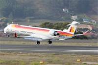 Nacho Rodriguez - Canary Islands Spotting. Haz click para ampliar