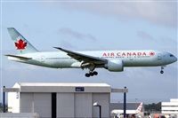Rubn Gil - Noisy Spotters. Click to see full size photo