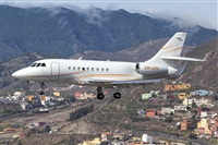 Javier de la Cruz - CANARY ISLANDS SPOTTING. Click to see full size photo