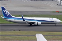 Rubn Gil - Noisy Spotters. Click to see full size photo