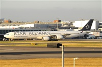 Miguel A. gueda Rguez.  (CANARY ISLANDS SPOTTING). Haz click para ampliar