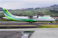 Miguel A. gueda Rguez.  (CANARY ISLANDS SPOTTING). Click to see full size photo