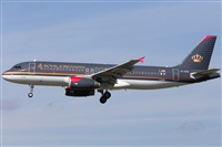 Miguel Alia - Noisy Spotters. Click to see full size photo