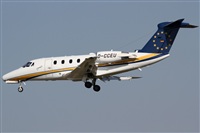 Rubn Gil - Noisy Spotters. Click to see full size photo