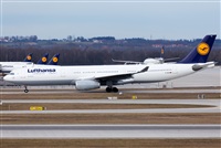 Miguel Alia - Noisy Spotters. Click to see full size photo