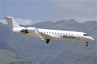 Paco Muoz Arencibia - Gran Canaria Spotters. Click to see full size photo