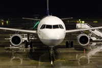 Miguel Alia - Noisy Spotters. Click to see full size photo
