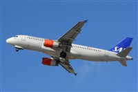 Miguel A. gueda Rguez.  (CANARY ISLANDS SPOTTING). Click to see full size photo