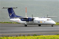 Miguel A. gueda Rguez.  (CANARY ISLANDS SPOTTING). Click to see full size photo