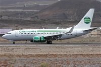 ©Alfonso Solís - Asociación Canary Islands Spotting. Click to see full size photo ©Alfonso Solís - Asociación Canary Islands Spotting. Click to see full size photo