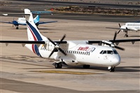 Javier de la Cruz - CANARY ISLANDS SPOTTING. Click to see full size photo