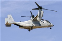 Paco Muoz Arencibia - Gran Canaria Spotters. Click to see full size photo