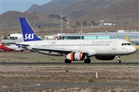 Alfonso Sols - Asociacin Canary Islands Spotting. Click to see full size photo