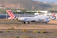 Miguel A. gueda Rguez.  (CANARY ISLANDS SPOTTING). Click to see full size photo