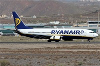 ©Alfonso Solís - Asociación Canary Islands Spotting. Click to see full size photo ©Alfonso Solís - Asociación Canary Islands Spotting. Click to see full size photo