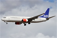 Alfonso Sols - Asociacin Canary Islands Spotting. Haz click para ampliar