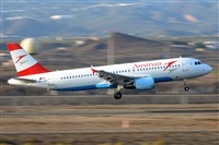 Miguel A. gueda Rguez.  (CANARY ISLANDS SPOTTING). Click to see full size photo
