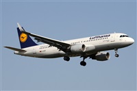Alfonso Sols - Asociacin Canary Islands Spotting. Haz click para ampliar