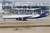 Rubn Gil - Noisy Spotters. Click to see full size photo