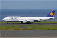 Miguel A. gueda Rguez.  (CANARY ISLANDS SPOTTING). Click to see full size photo