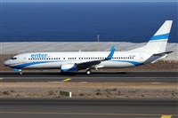 ©Alfonso Solís - Asociación Canary Islands Spotting. Click to see full size photo ©Alfonso Solís - Asociación Canary Islands Spotting. Click to see full size photo
