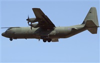 ©Francisco Garcia Romero - LPA. Spotter.. Click to see full size photo ©Francisco Garcia Romero - LPA. Spotter.. Click to see full size photo